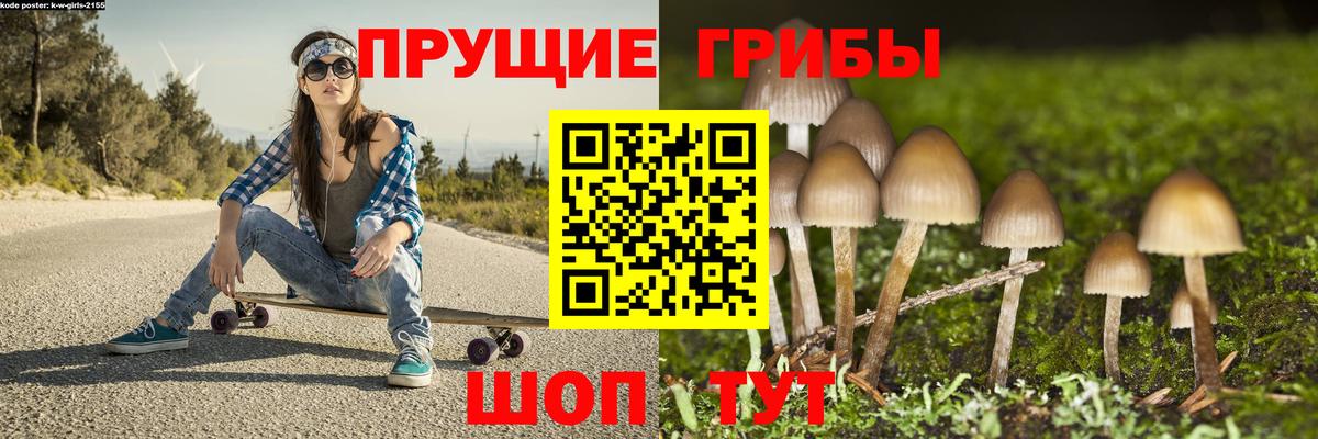 Псилоцибиновые грибы Magic Shrooms  Галлюциногенные грибы Psilocybe  Вход с VPN  Оренбург 
